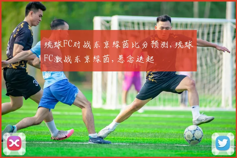 琉球FC对战东京绿茵比分预测,琉球FC激战东京绿茵,悬念迭起
